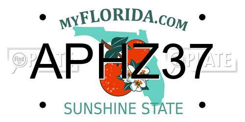 APHZ37 Florida License Plate