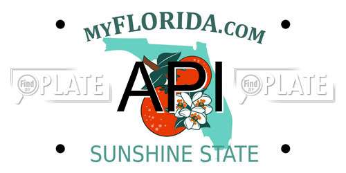 API Florida License Plate