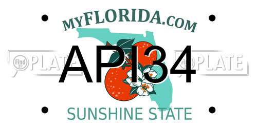 API34 Florida License Plate