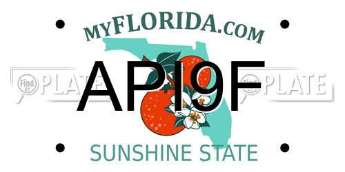 API9F Florida License Plate