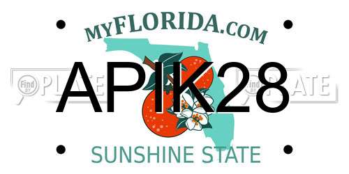 APIK28 Florida License Plate