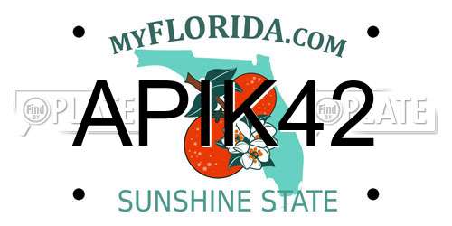 APIK42 Florida License Plate
