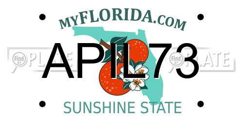 APIL73 Florida License Plate
