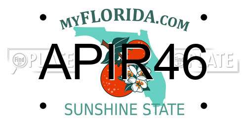 APIR46 Florida License Plate