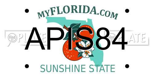 APIS84 Florida License Plate