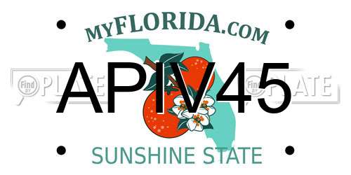 APIV45 Florida License Plate