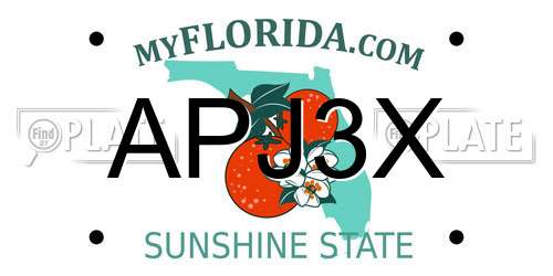 APJ3X Florida License Plate