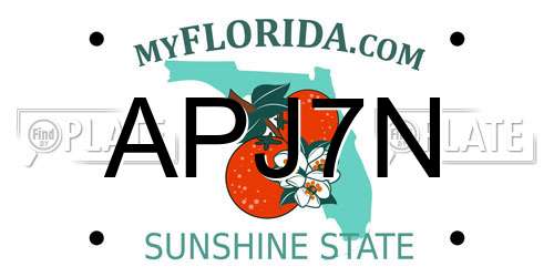 APJ7N Florida License Plate