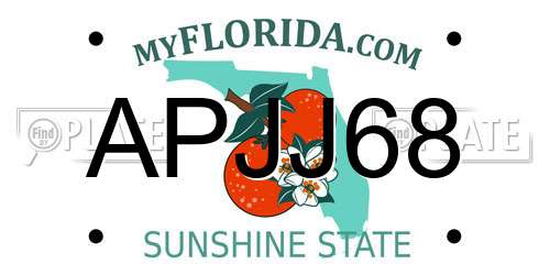 APJJ68 Florida License Plate