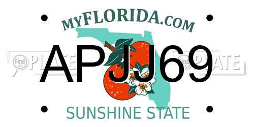 APJJ69 Florida License Plate