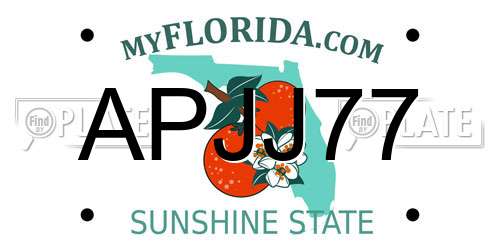 APJJ77 Florida License Plate