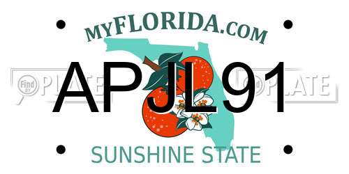 APJL91 Florida License Plate