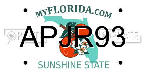 APJR93 Florida License Plate