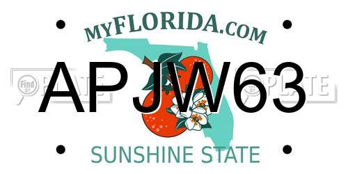 APJW63 Florida License Plate