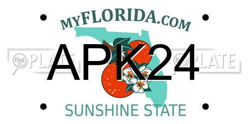 APK24 Florida License Plate