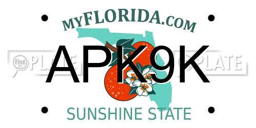 APK9K Florida License Plate