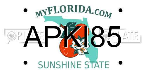 APKI85 Florida License Plate