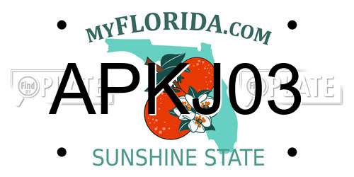 APKJ03 Florida License Plate