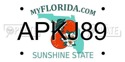 APKJ89 Florida License Plate