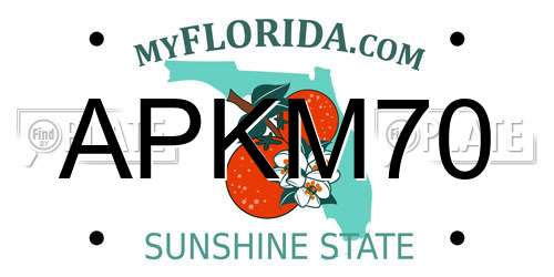 APKM70 Florida License Plate