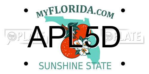 APL5D Florida License Plate