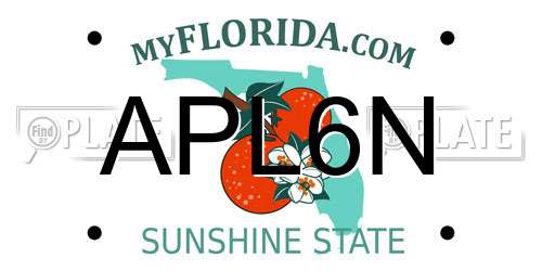 APL6N Florida License Plate