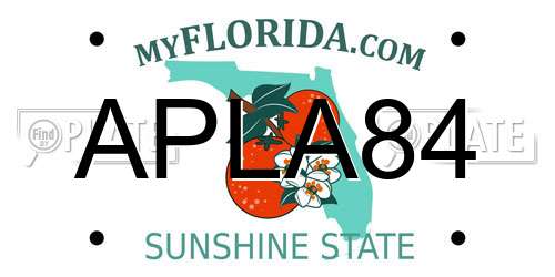 APLA84 Florida License Plate