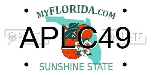 APLC49 Florida License Plate