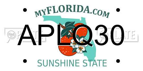 APLQ30 Florida License Plate