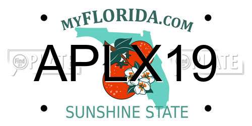 APLX19 Florida License Plate
