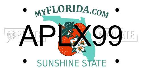 APLX99 Florida License Plate