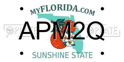 APM2Q Florida License Plate