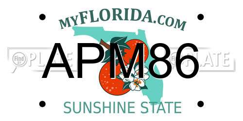 APM86 Florida License Plate