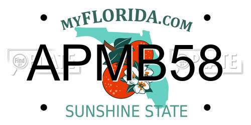 APMB58 Florida License Plate