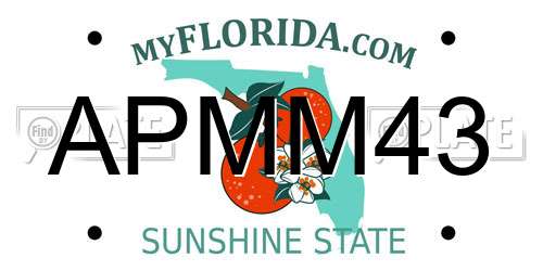 APMM43 Florida License Plate