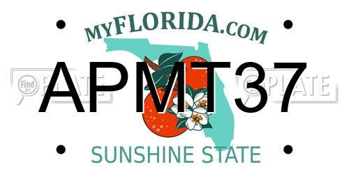 APMT37 Florida License Plate