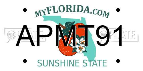 APMT91 Florida License Plate