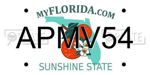 APMV54 Florida License Plate