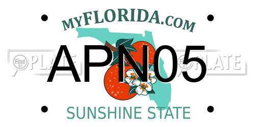 APN05 Florida License Plate
