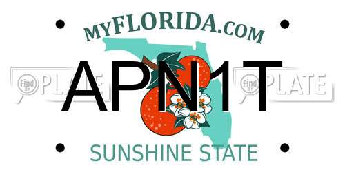 APN1T Florida License Plate