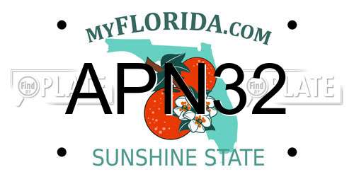 APN32 Florida License Plate
