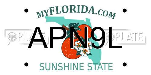 APN9L Florida License Plate