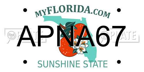 APNA67 Florida License Plate