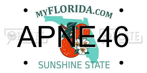 APNE46 Florida License Plate