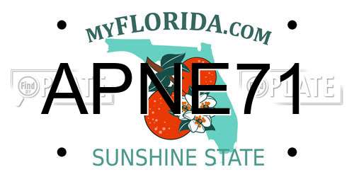 APNE71 Florida License Plate