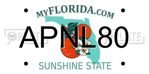 APNL80 Florida License Plate