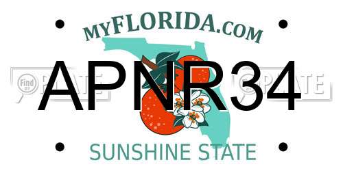 APNR34 Florida License Plate