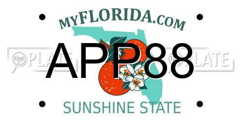 APP88 Florida License Plate