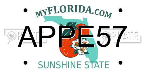 APPE57 Florida License Plate