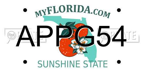 APPG54 Florida License Plate